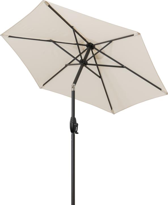 Immagine prodotto Derby Basic Lift Neo (1.80 m)