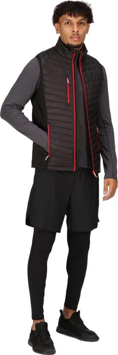 Actual product image Regatta Mens Navigate Quilted Hybrid Gilet (XXL)