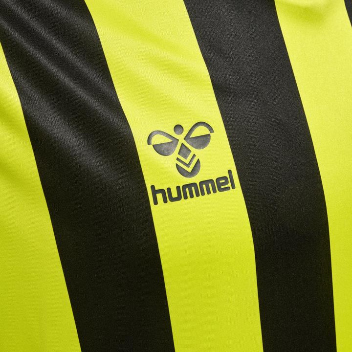 Actual product image hummel Core Xk Striped Jersey S/S (XXL)