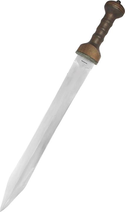 Immagine prodotto Condor Tool & Knife Spada Gladio di Magonza (47.60 cm)