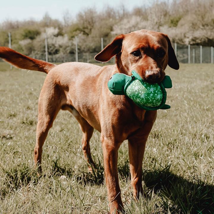 Produktbild Hunter Flingerz Splash (Kauspielzeug Hund, Apportieren)