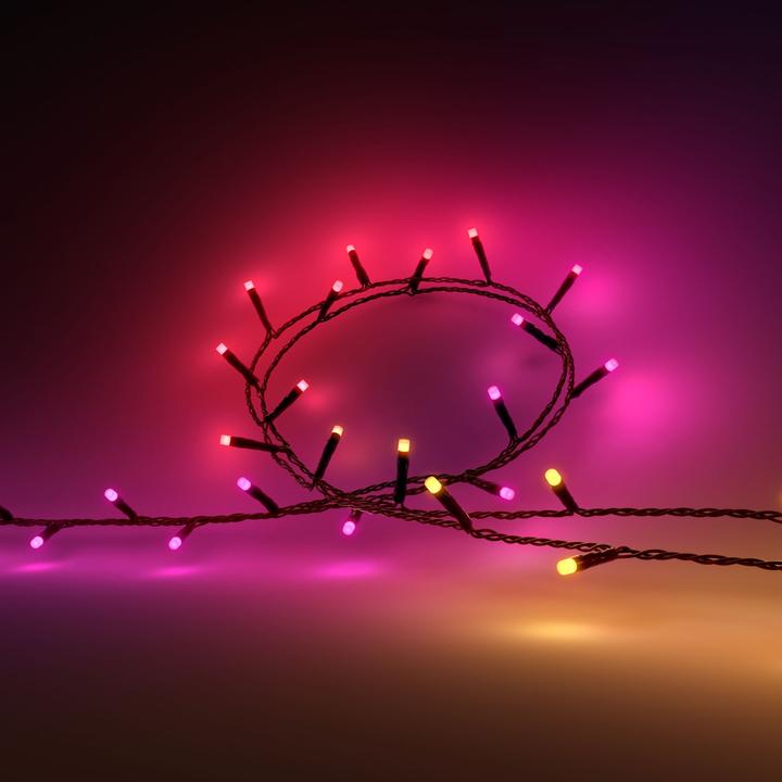 Productafbeelding Philips Hue Festavia (EU-stekker) (8 m)