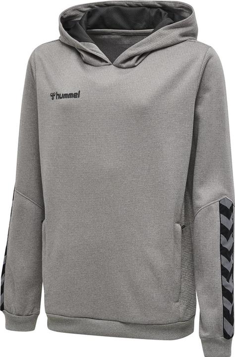 Image du produit hummel Sweat à Capuche Authentique Pour Enfants (116)