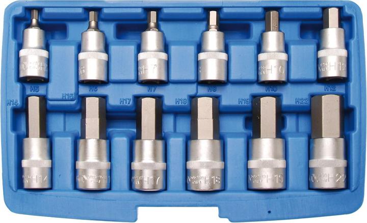 Actual product image BGS Bit insert set (Hexagon socket M5, Hexagon socket M6, Hexagon socket M8, Hexagon socket M10, Hexagon socket M12, Hexagon socket M7, Hexagon socket M14, Hexagon socket M16, Hexagon socket M17, Hexagon socket M18, Hexagon socket M19, Hexagon socket M22)