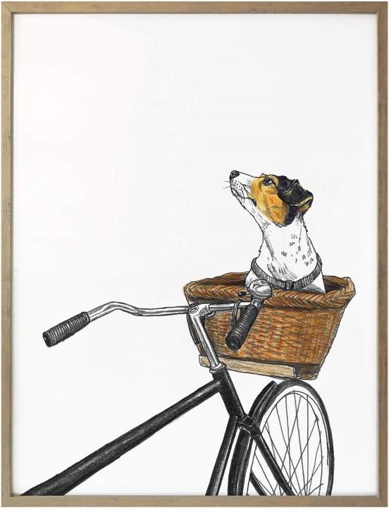 Produktbild Trenddeko Hund im Korb (80 x 100 cm)