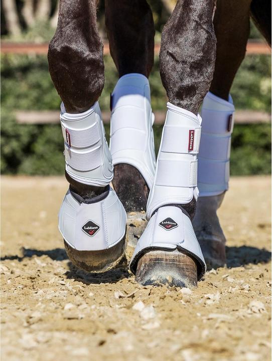 Actual product image LeMieux hind leg gaiters for horses leieux proshell over reach