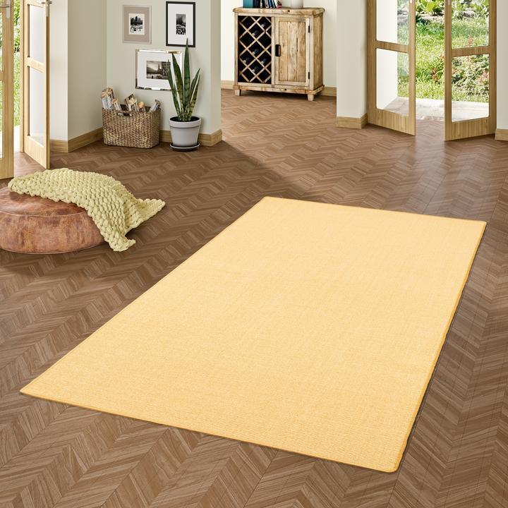 Image du produit Snapstyle Tapis en sisal naturel Classique - 9 coloris en 17 tailles (200 x 300 cm)