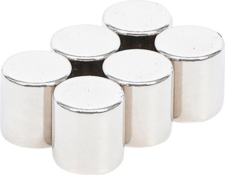 BGS Magnet set (6 x)