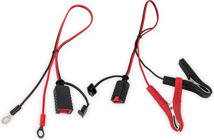 Immagine prodotto ProUser Caricatore a microprocessore 4A (12V, 6V, 4 A)