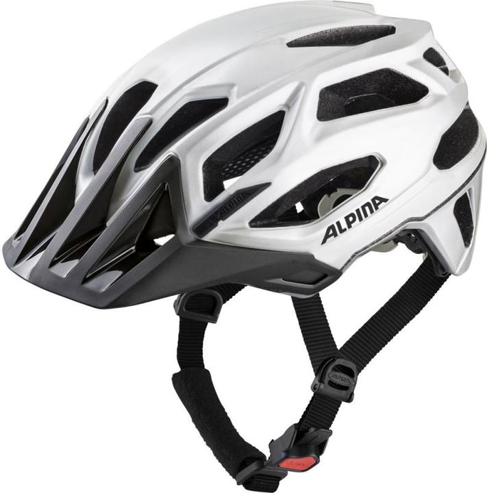 Image du produit ALPINA SPORTS Casque de vélo Garbanzo (taille : 52-57 cm, 14 white gloss) (52 - 57 cm)