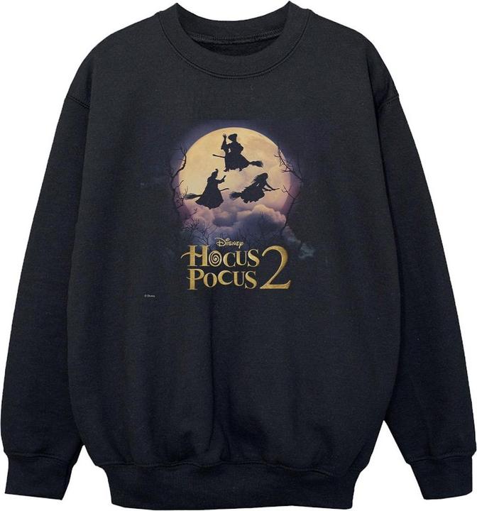 Actual product image Disney Boys Hocus Pocus Witches Flying Sweatshirt (104)