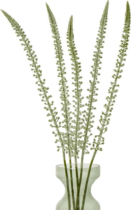 Image du produit Hill Interiors Plante artificielle Eremurus Stem (88 cm)