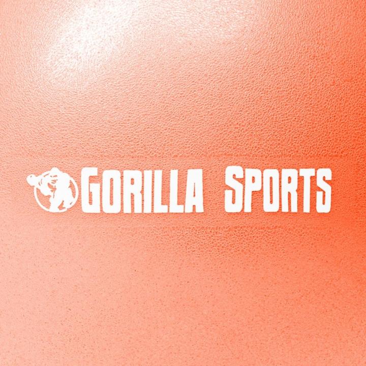 Actual product image Gorilla Sports Pilates ball (28 cm)