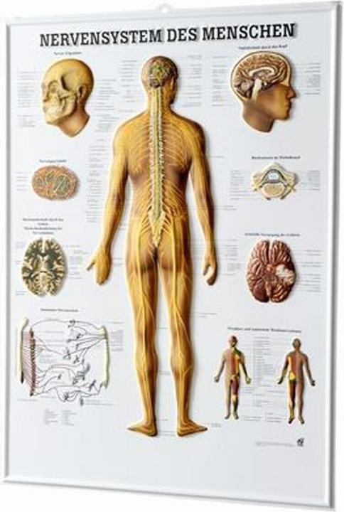Produktbild Rüdiger Relief-Tafel - 3D Poster 54 x 74 cm (74 x 74 cm)