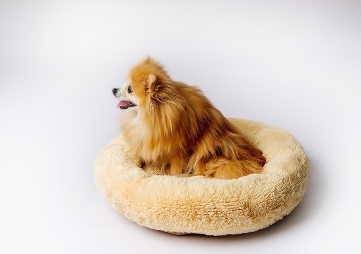 Immagine prodotto Go Gift Shaggy Cream Storage L 66 x 66 x 10 cm (Gatto, Cane)