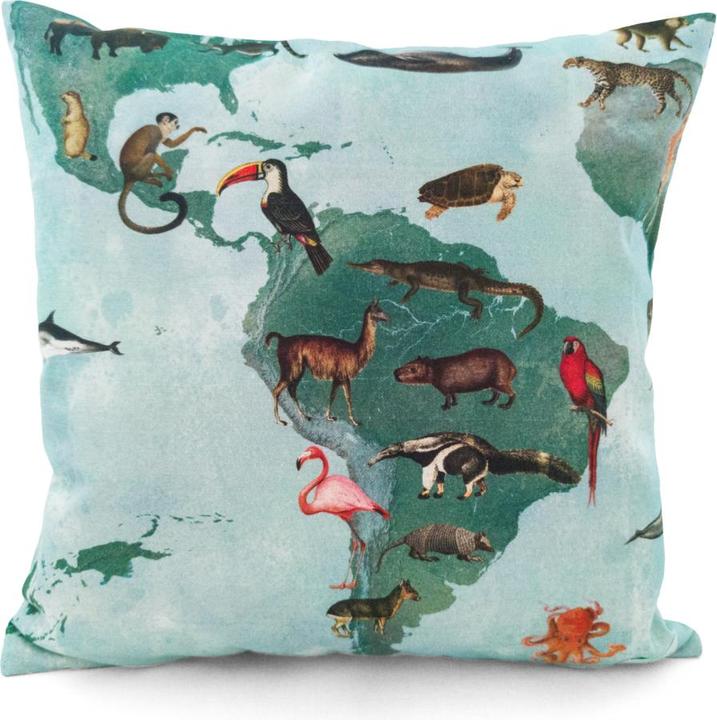Actual product image Plückefinken Cuddle Cushion - World Map Animals (40 x 40 cm)