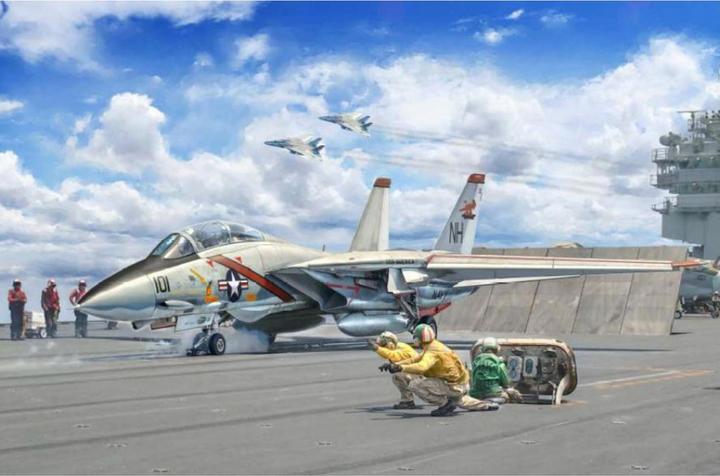 Immagine prodotto 1:72 F-14A Tomcat Pannelli di linea da incasso