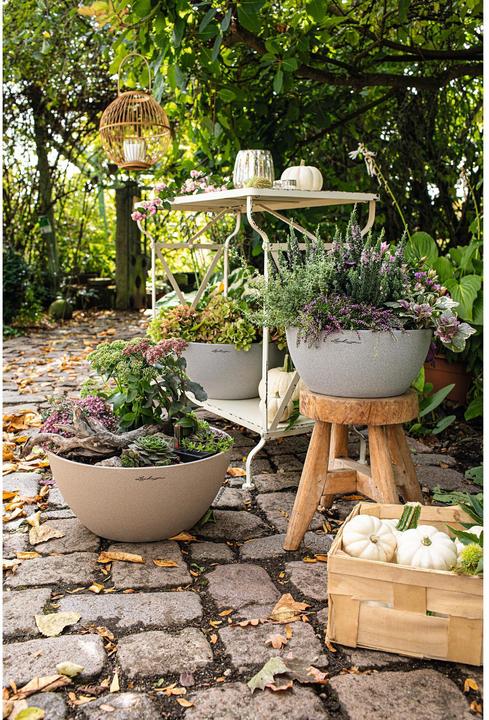 Image du produit Lechuza Cubeto Color (30 cm)