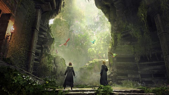 Image du produit WB Hogwarts Legacy (Xbox Series X, DE, FR)