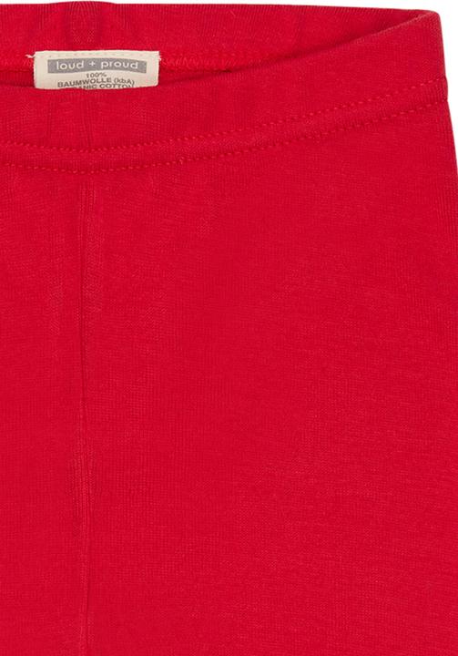 Actual product image loud + proud Legging (104)