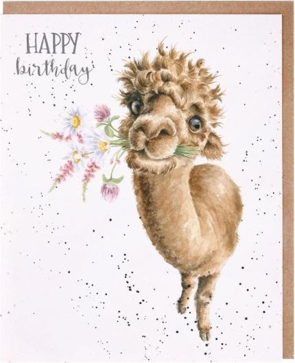 Image du produit Wrendale Design Geburtstagskarte - Alpaka HAPPY BIRTHDAY Wrendale Designs (1 pcs)