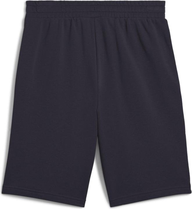 Image du produit Puma ESS 2 COLOR No. 1 Logo Shorts 10" TR (XXL)