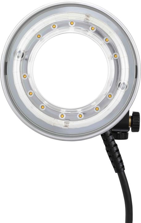 Actual product image Godox Ringkopf (Godox)