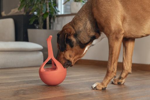 Image du produit Beeztees Jouet en caoutchouc pour chien Wiggle-X