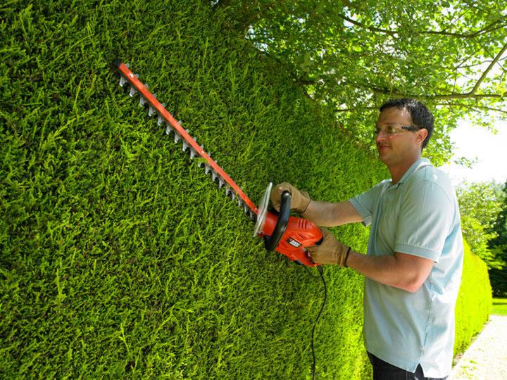 Image du produit Black & Decker Taille-haies GT5560 (Taille-haie électrique)