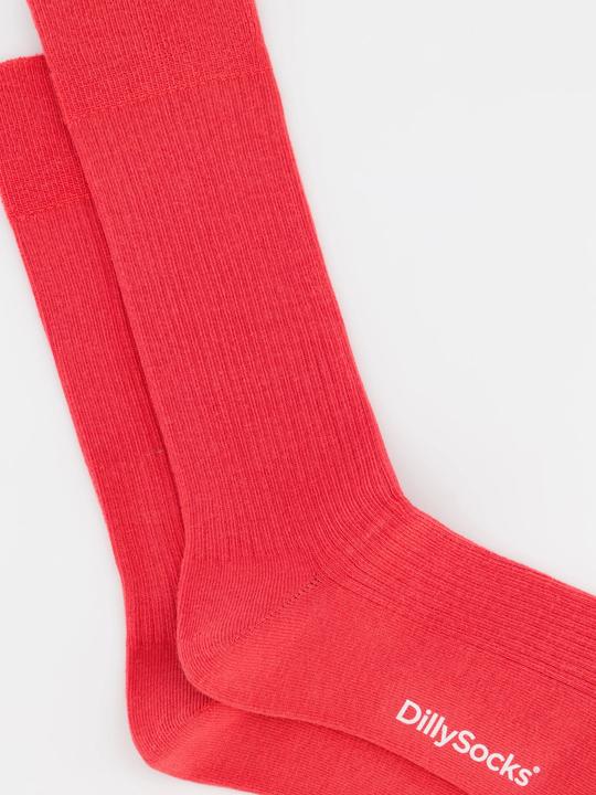 Image du produit DillySocks Ribbed (Une unité par pack, 36 - 40)