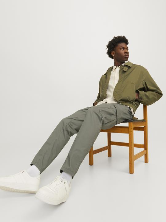 Produktbild Jack & Jones Cargo fit Karottenhosen Karottenhosen (W29/L32)
