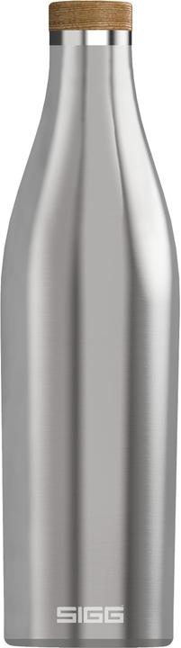 Brushed stainless steel)