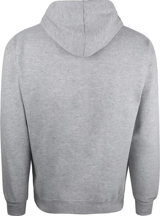 Actual product image Nasa Hoodie (S)