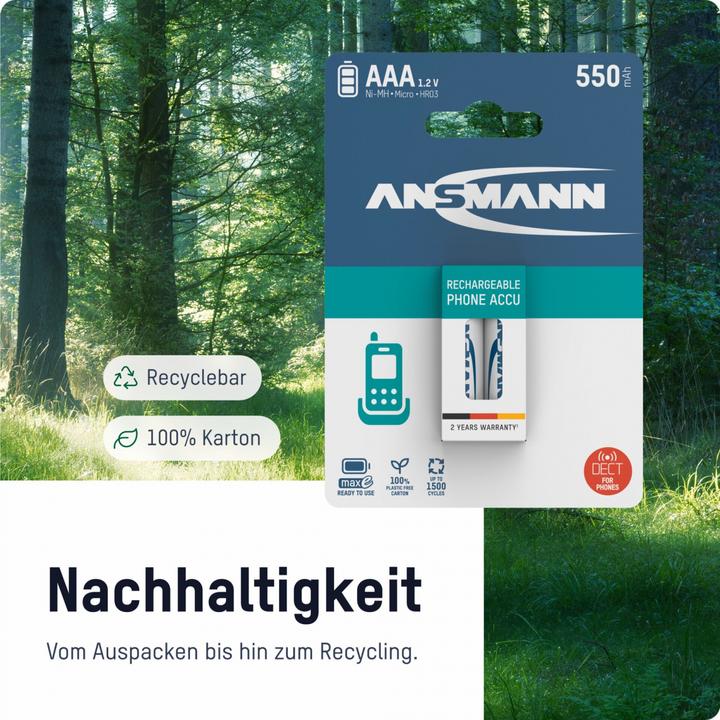 Image du produit Ansmann AAA (2 pcs, AAA, 800.80 mAh)