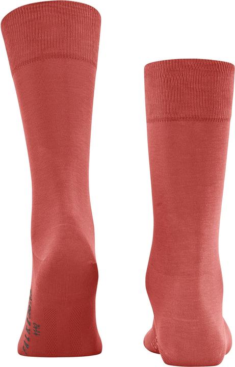 Image du produit Falke Cool 24/7 Men Chaussettes (41 - 42)