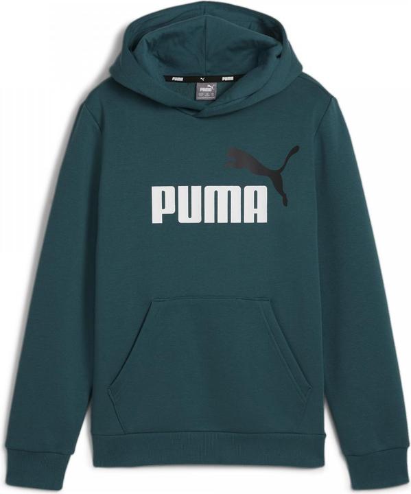 Actual product image Puma ESS+ 2 Col Big Logo Hoodie FL B (128)