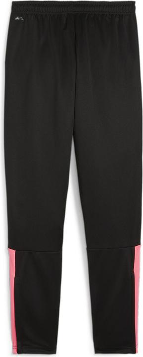 Actual product image Puma teamLIGA Training Pants Jr (176)