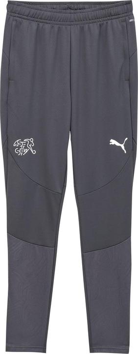 Actual product image Puma SFV Training Pants (L)