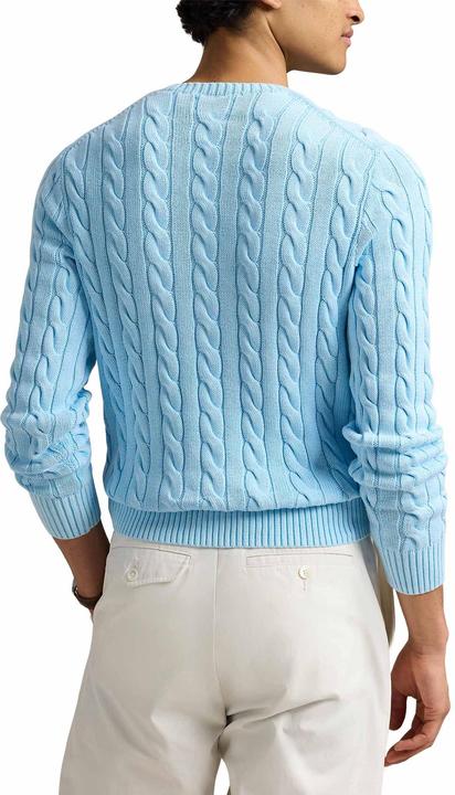 Image du produit Ralph Lauren Sweaters Clear Blue (L)