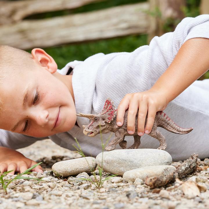Produktbild Schleich Triceratops