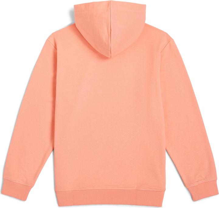 Produktbild O'Neill Logo Hoodie (152)