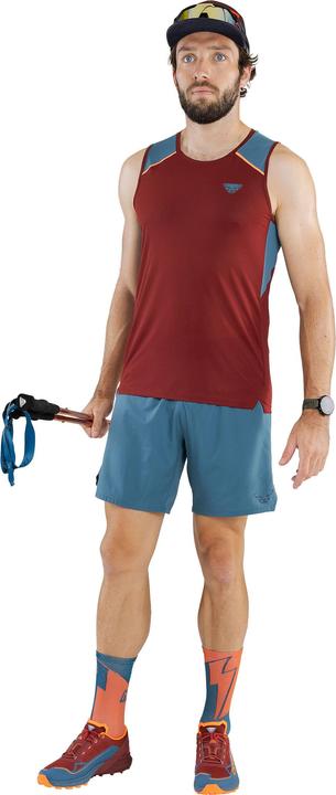 Actual product image Dynafit ALPINE PRO 2/1 SHORTS, men's (XL)