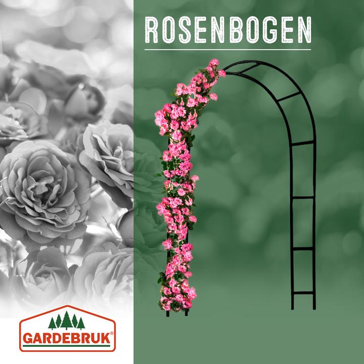 Image du produit Deuba Kit d'arches de jardin (240 cm, 140 cm)