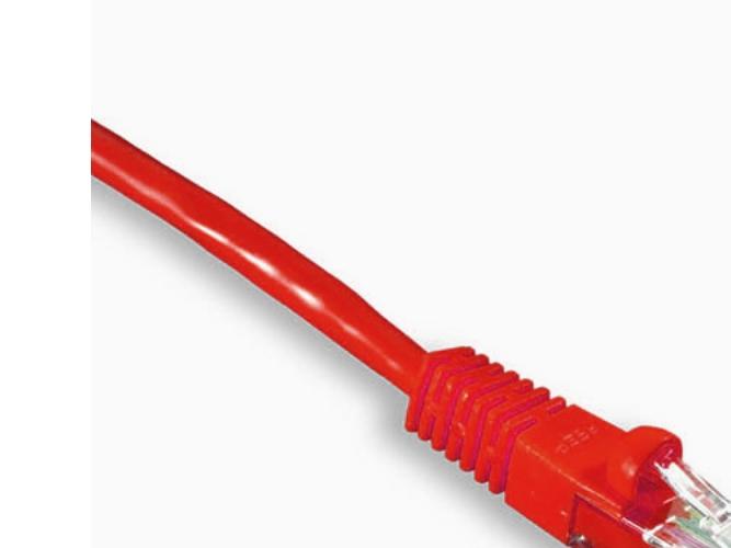 Actual product image Wirewin Network cable (F/FTP, CAT6, 0.15 m)