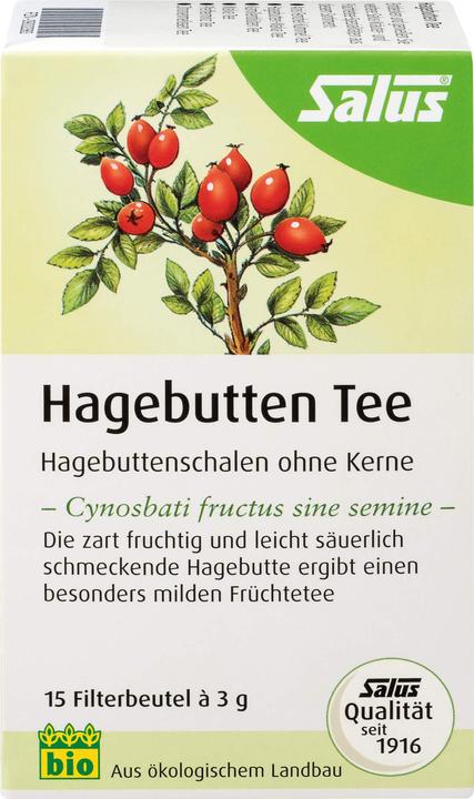 Actual product image Salus Rosehip Fruit Tea, 15 pcs. Filter bag (45 g)