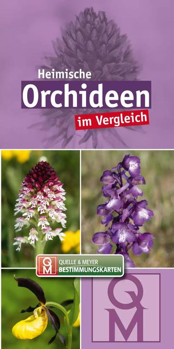 Image du produit Heimische Orchideen im Vergleich (Allemand, Éditions Quelle & Meyer, 2022)