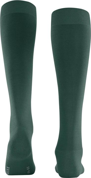 Immagine prodotto Falke ClimaWool (37 - 38)