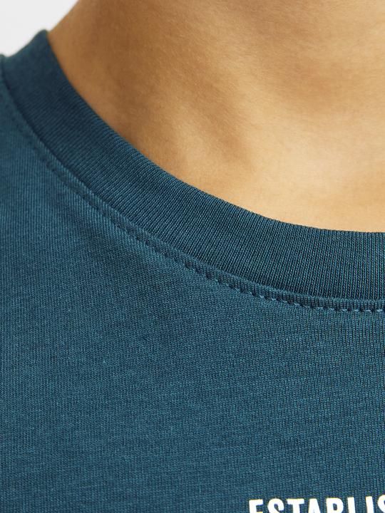 Image du produit Jack & Jones JJELOGO TEE SS ONECK 2COL 24/25 NOOS JNR (176)