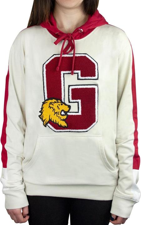 Produktbild Gryffindor Kapuzenpullover (L)