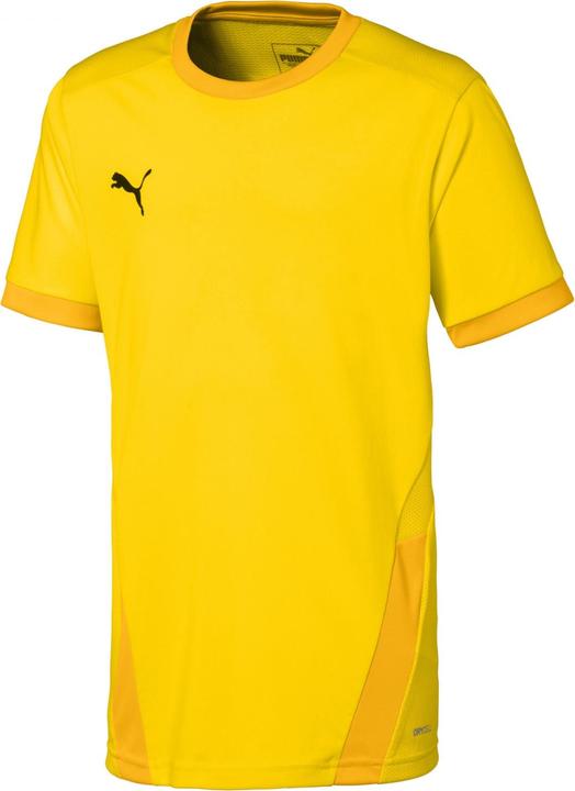 Image du produit Puma teamGOAL 23 Jersey jr-704160 (128)
